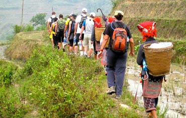 Gangotri Gaumukh Tapovan Trekking
