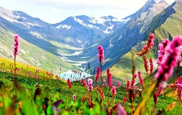 Kauri Pass Trekking