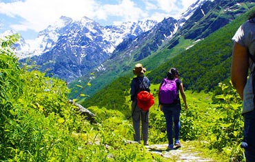 Gangotri Badrinath Trekking